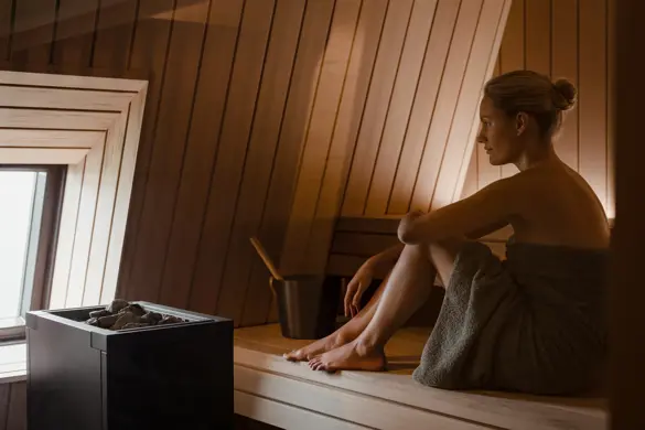 Les Trois Rois Seijaku Sauna (1)
